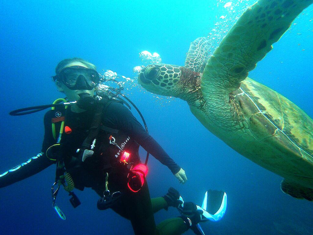 Scuba dive with turtles in Guam